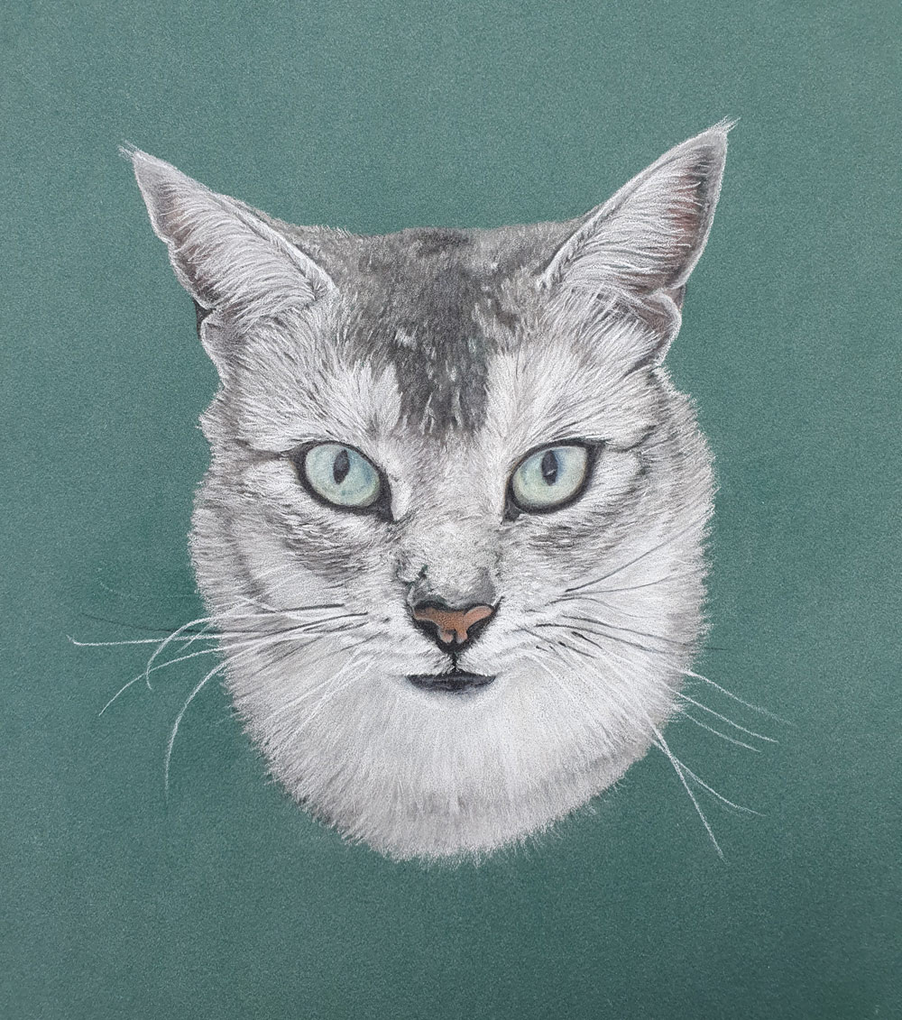 Tom-Cat-Final-Drawing