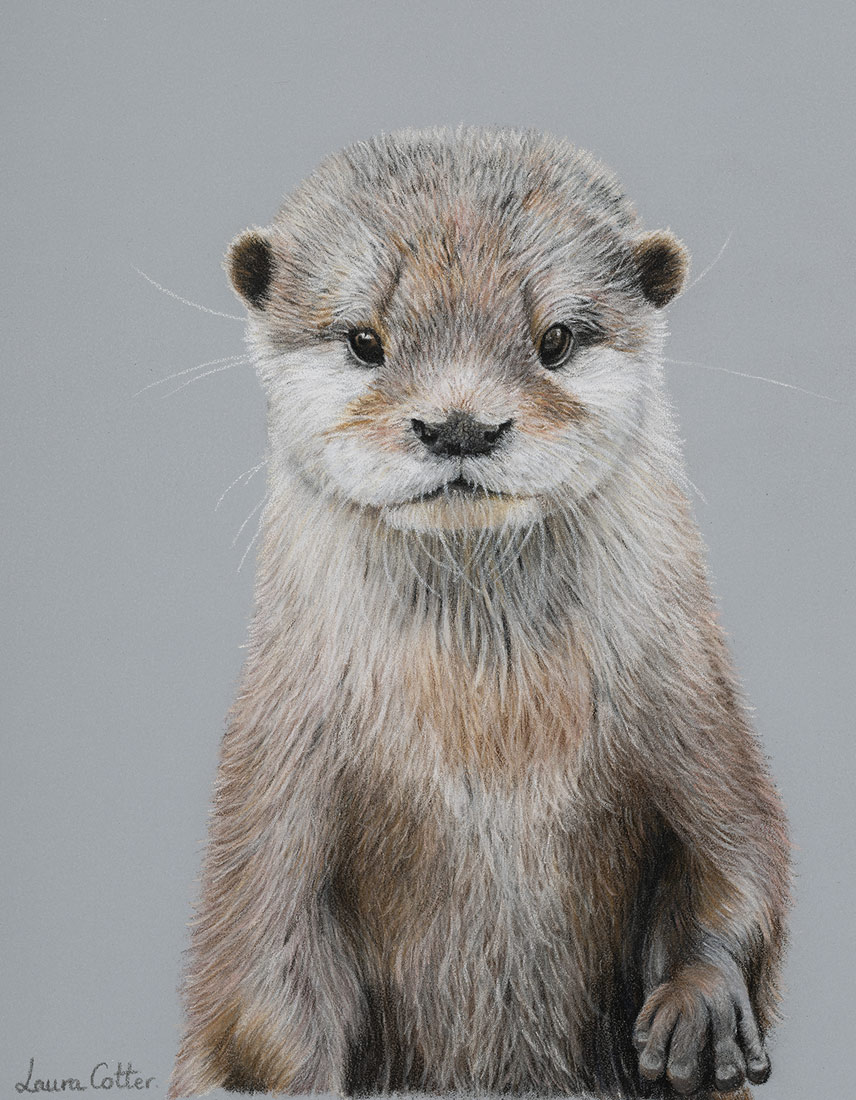 Otter-small
